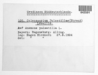 Image Associated With the Occurence
